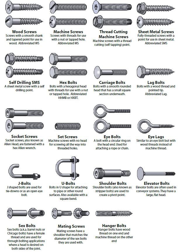 different types of screws